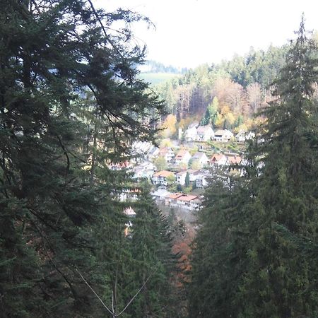 Relaxapartments Black Forest Diamond Direkt An Der Hornberger Freilichtbuehne - Sonnenterrasse Mit Blick Auf Das Hornberger Schloss, Schnelles Internet, Fuer Bis Zu 2 Personen Bagian luar foto
