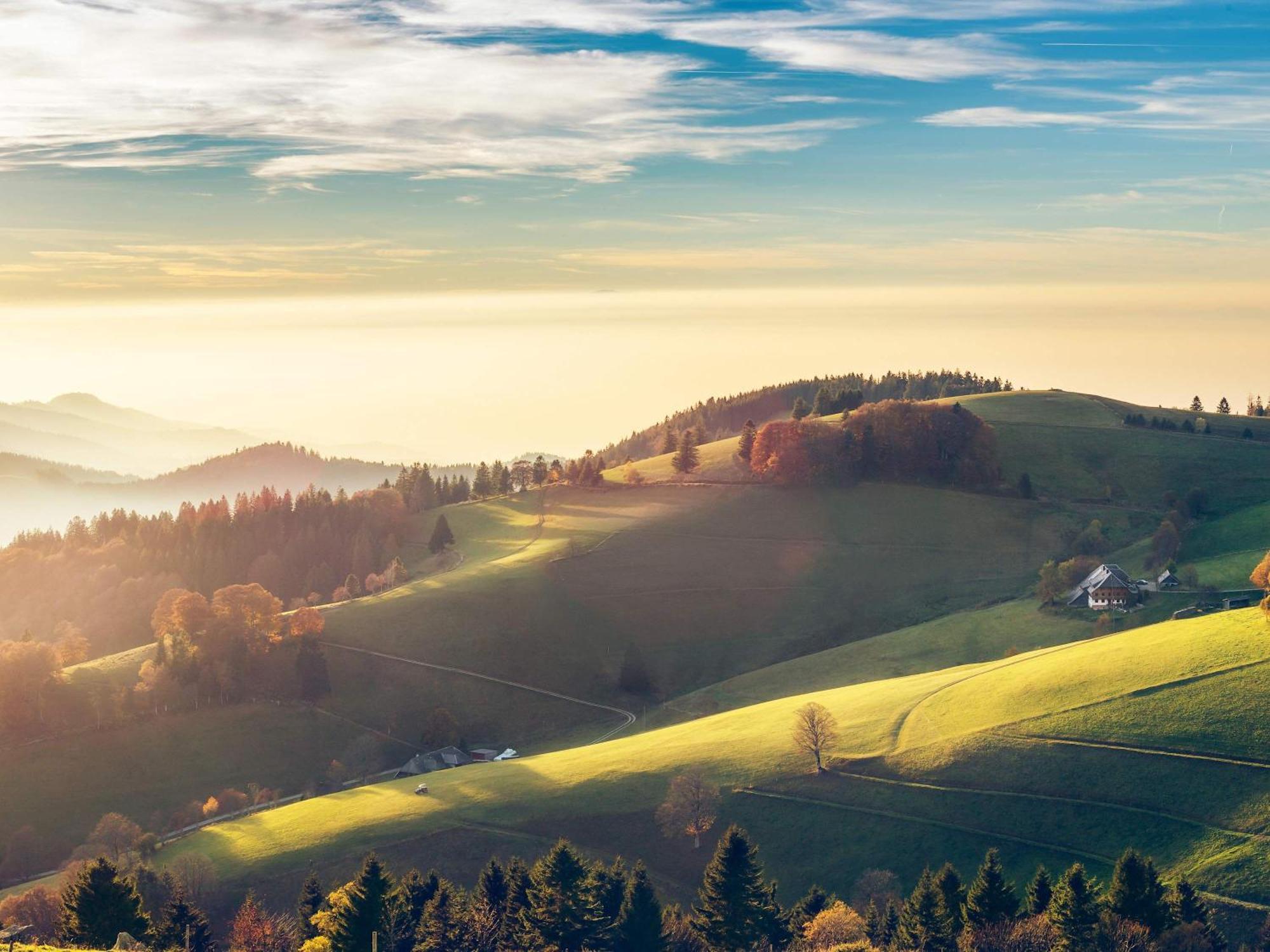 Relaxapartments Black Forest Diamond Direkt An Der Hornberger Freilichtbuehne - Sonnenterrasse Mit Blick Auf Das Hornberger Schloss, Schnelles Internet, Fuer Bis Zu 2 Personen Bagian luar foto