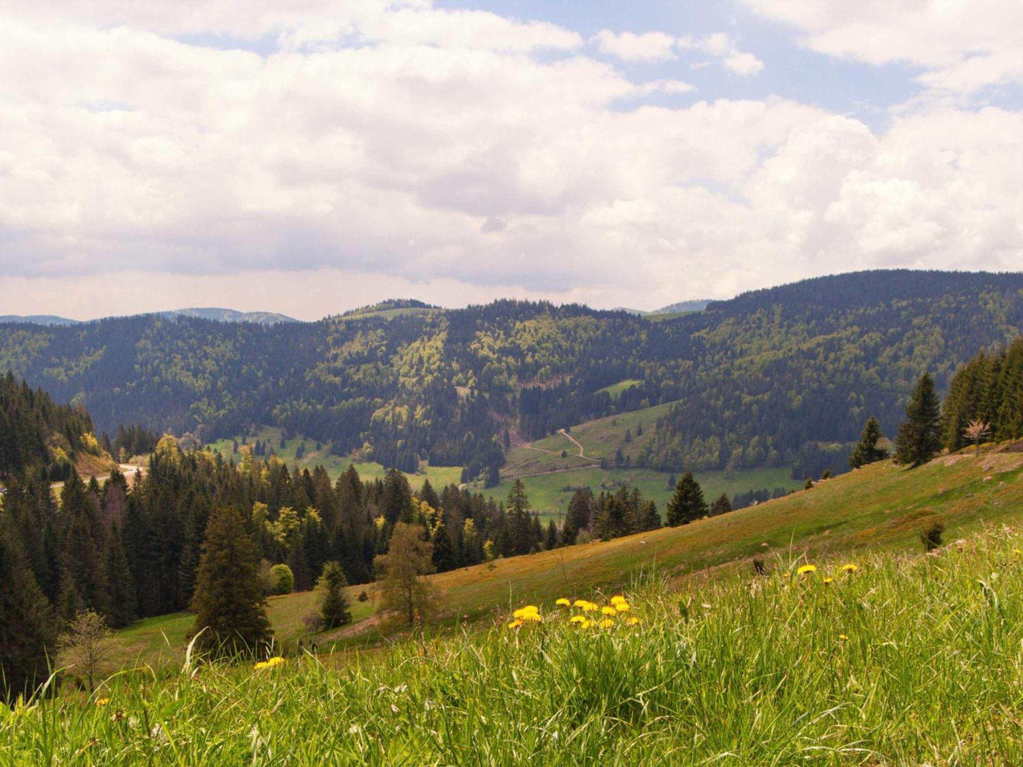 Relaxapartments Black Forest Diamond Direkt An Der Hornberger Freilichtbuehne - Sonnenterrasse Mit Blick Auf Das Hornberger Schloss, Schnelles Internet, Fuer Bis Zu 2 Personen Bagian luar foto